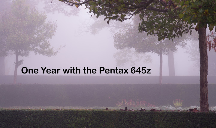 One year with the Pentax 645z